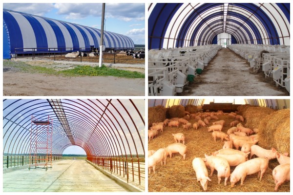 Аграрные технологии 
